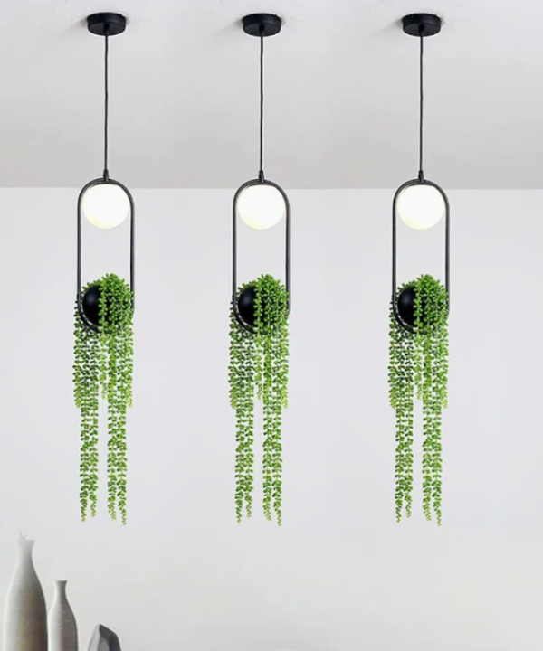 Hydroponic Siyah Sarkıt (1)