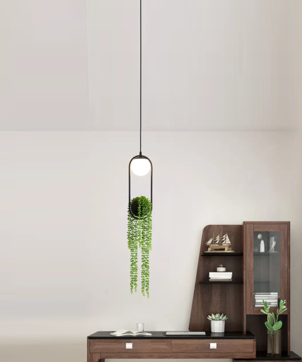 Hydroponic Siyah Sarkıt (2)