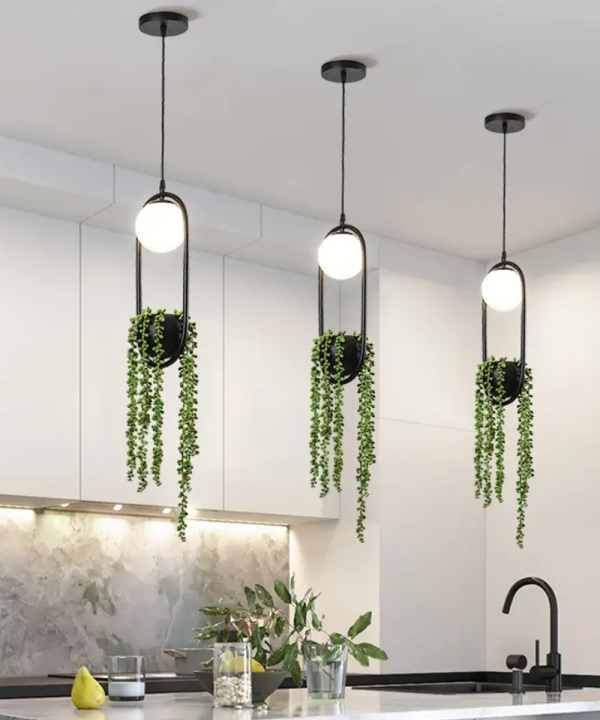 Hydroponic Siyah Sarkıt (4)