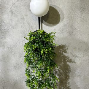 floweringTuruncu Aplik (1)