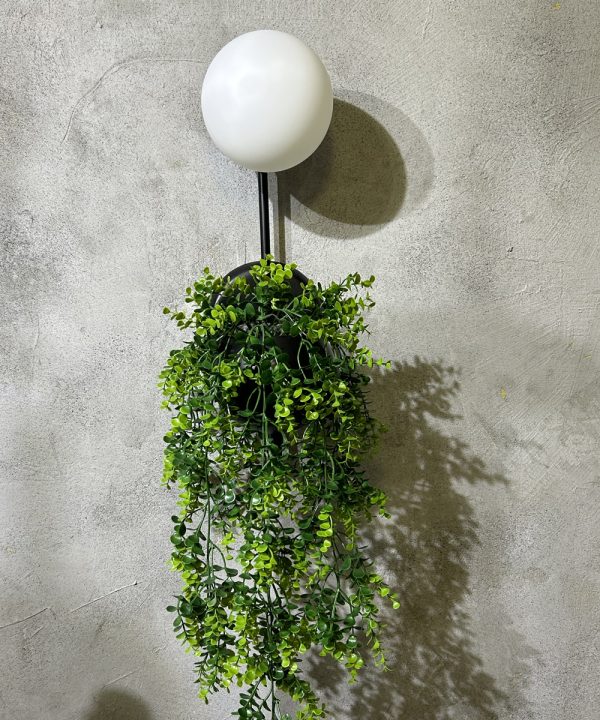 floweringTuruncu Aplik (1)